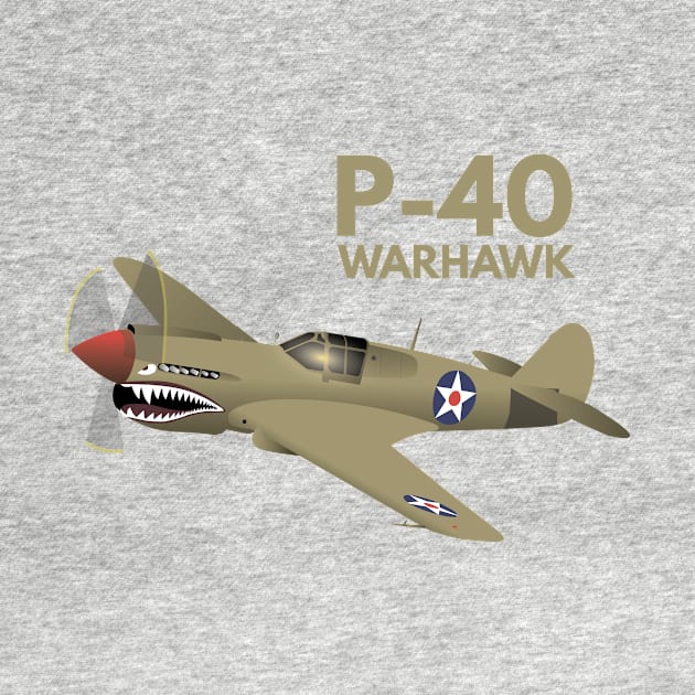 WW2 P-40 Warhawk Airplane by NorseTech